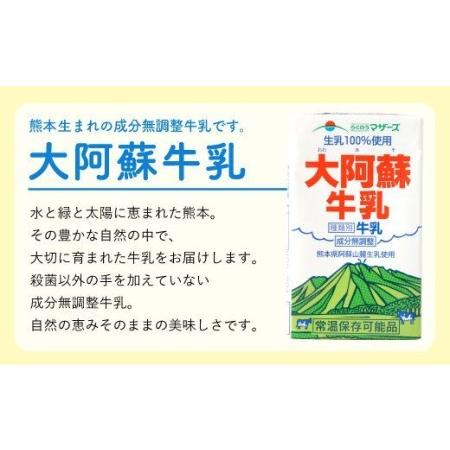 ふるさと納税 大阿蘇牛乳 250ml×24本 1ケース 生乳 100% ミルク 成分無調整牛乳 熊本県宇城市