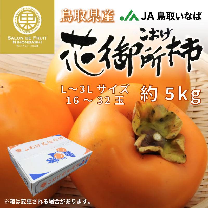 [予約 2023年 11月15日-12月31日の納品] こおげ 花御所柿 約5kg L-3L 16-32玉 鳥取県産 産地箱 JA鳥取いなば 幻の甘柿 上級品 柿 冬ギフト お歳暮 御歳暮