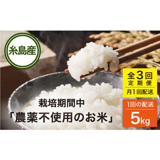 ふるさと納税 福岡県 糸島市  栽培期間中 農薬不使用のお米 ヒノヒカリ 5kg 糸島市 シーブ [AHC041] 米 定期便