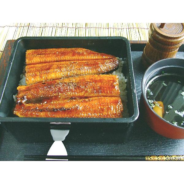 うなぎ蒲焼き 四万十うなぎ（株） 約150g 特大一尾まるごと 高知産 うなぎ ウナギ 鰻 蒲焼き 国産 四万十川 土用丑の日 敬老の日 ギフト お歳暮 お中元