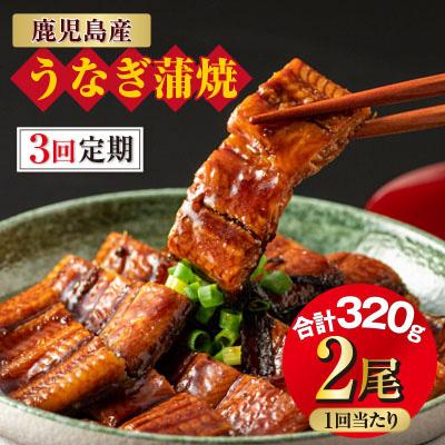 ふるさと納税 鹿屋市 うなぎ 蒲焼 160g×2尾 2060 全3回