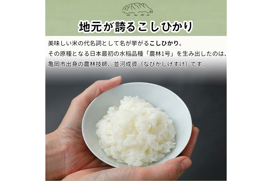 訳あり 定期便 新米 5kg 8ヶ月 京都丹波米 こしひかり 白米 8回定期便 5kg×8回 計40kg ※精米したてをお届け 《緊急支援 米・食味鑑定士 厳選 コシヒカリ 京都丹波産 特Ａ》 ※北海道・沖縄・離島の配送不可