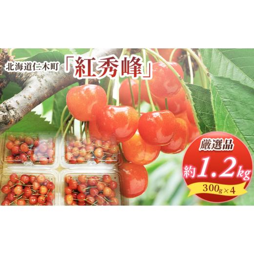 ふるさと納税 北海道 仁木町 先行受付 2024年7月から出荷 北海道 仁木町産 サクランボ 紅秀峰 1.2kg 厳選品  松山商店