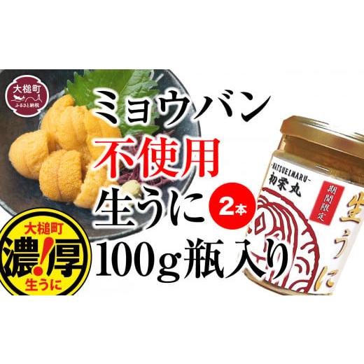 ふるさと納税 岩手県 大槌町 三陸産生うに 瓶詰100g×2本［35］