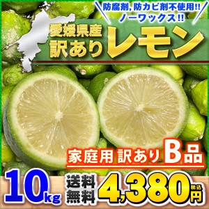 訳あり レモンＢ品 10kg 愛媛県産 サイズおまかせ 家庭用 訳あり 送料無料 箱買い 10キロ