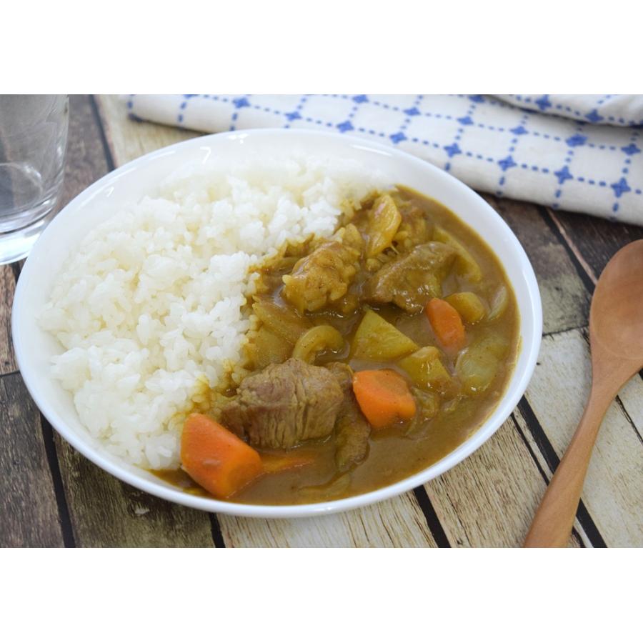 送料無料 オリエンタル カレー 選べる6袋 (米粉 大豆粉 香り薫る) カレールー フレークタイプ カレー粉