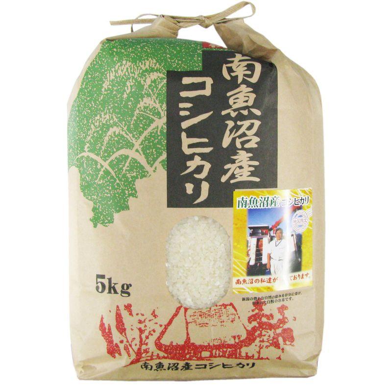 精米 新潟県 南魚沼産 コシヒカリ 5kg 令和4年産