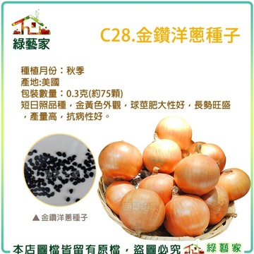 【綠藝家】C28.金鑽洋蔥種子0.3克(約75顆)(有藥劑處理)