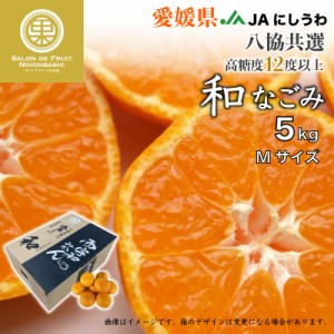 [予約 2023年 11月15日-12月25日の納品] 和 なごみ 約5kg M 愛媛県産 JAにしうわ 八協共選 JA西宇和 訳あり 自宅用 家庭用 みかん　 冬ギ