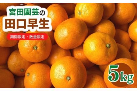 A-438 宮田園芸の田口早生 5kg みかん ミカン フルーツ 果物 柑橘 数量限定 期間限定 12月上旬より順次配送