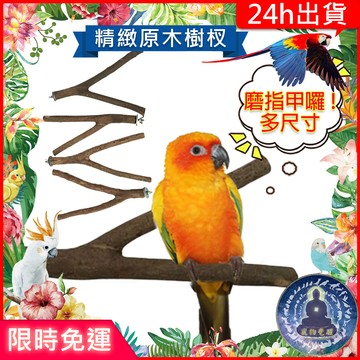 【寵物覺醒24h出貨】鸚鵡原木樹杈棒站棍磨指甲鸚鵡玩具鸚鵡用品磨爪站桿遊戲實木磨指站棒