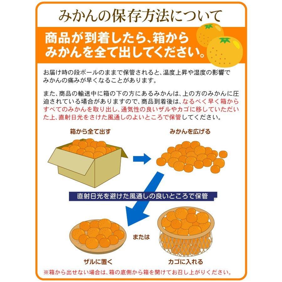 みかん 9kg 徳島産 ご家庭用 みかん 送料無料 食品