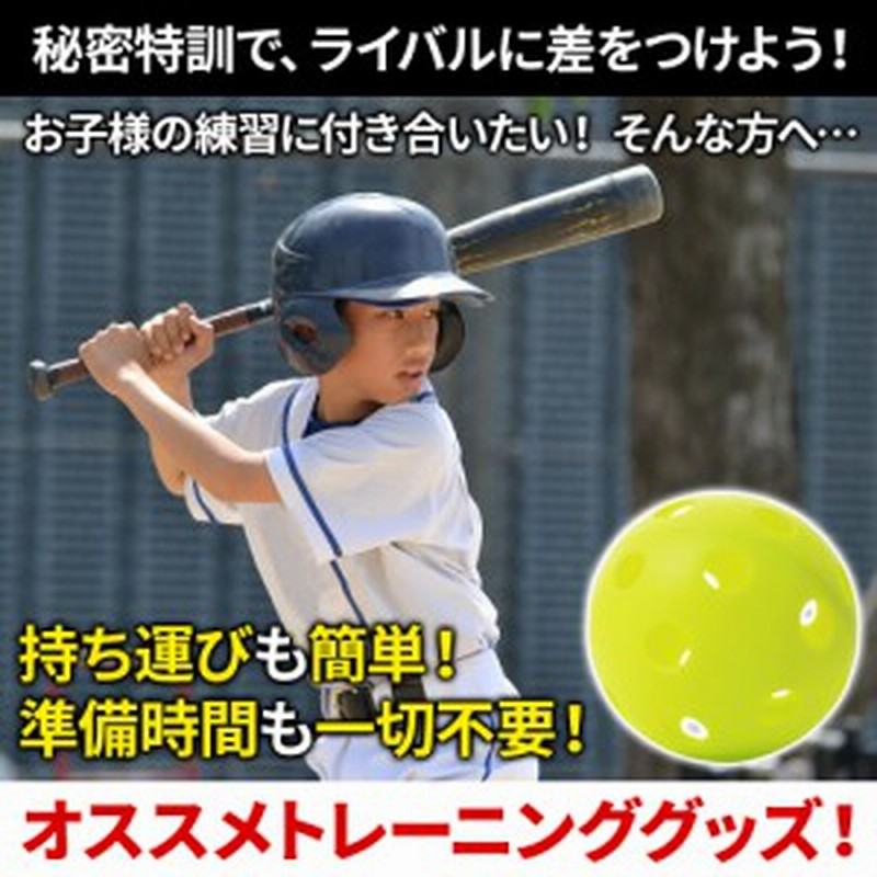 野球 バッティング練習用 トランポリン FBTP－1480