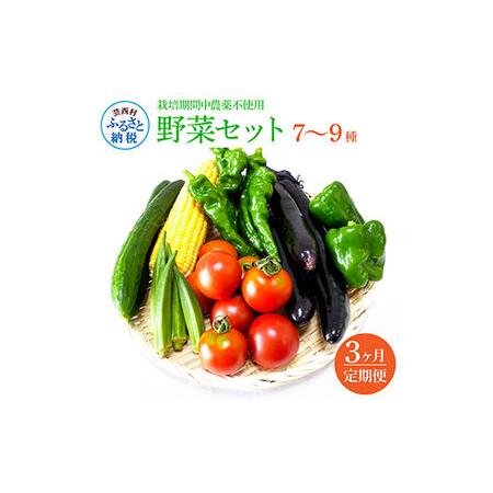 ふるさと納税 野菜セット（7‐9種類） 《3カ月定期便》 栽培期間中農薬不使用！ 季節の野菜 定期コース 定期 無農薬 野菜 やさい 新鮮 自然 健康.. 高知県芸西村