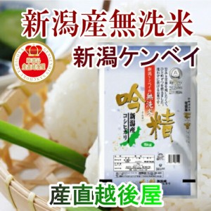 令和５年産 新米 新潟県産 コシヒカリ 無洗米 新潟県産 コシヒカリ10kg 無洗米 吟精無洗米 新潟ケンベイ産 送料無料