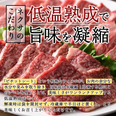 ふるさと納税 佐伯市 おおいた和牛 カルビ 2種焼肉セット (合計550g・赤身カルビ250g カルビ300g)