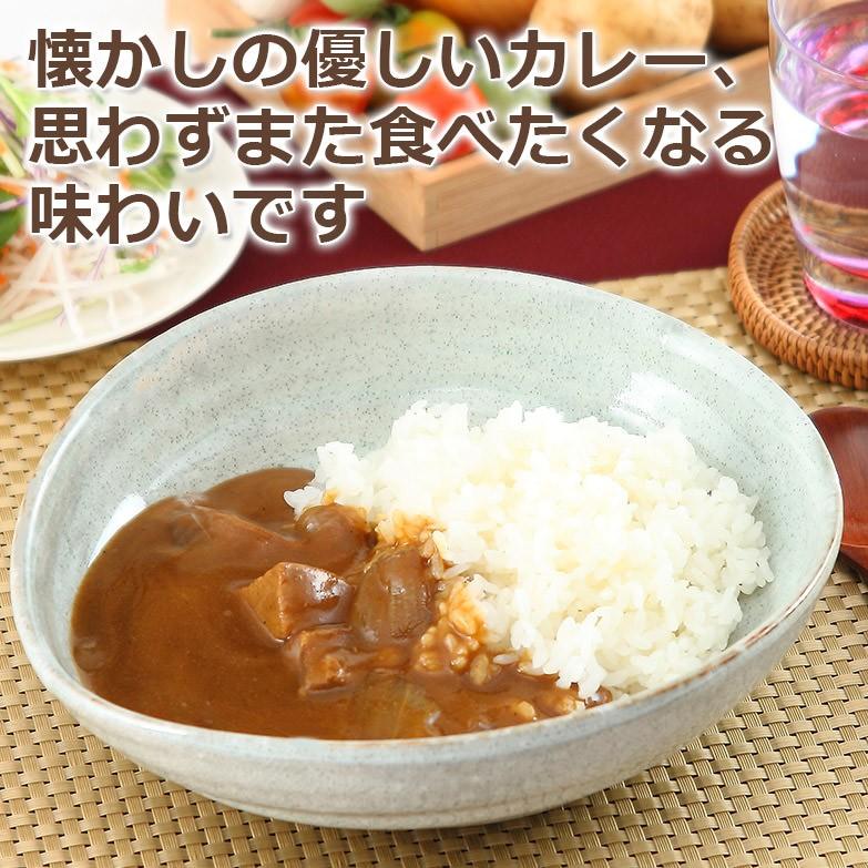 素材のよさを生かしてつくられた 懐かし味の華カレー＆牛の華カレー3種6個セット 送料無料 ポイント消化