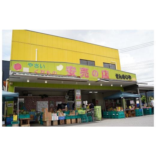 ふるさと納税 愛知県 碧南市 目利きのプロ 八百屋厳選 野菜詰め合わせセット（8〜10種類お届け）　H151-010