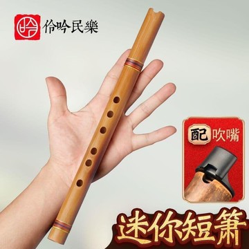 快速出貨 伶吟初學零基礎入門迷你短簫樂器G六八孔F調蕭笛便攜古風高級洞簫