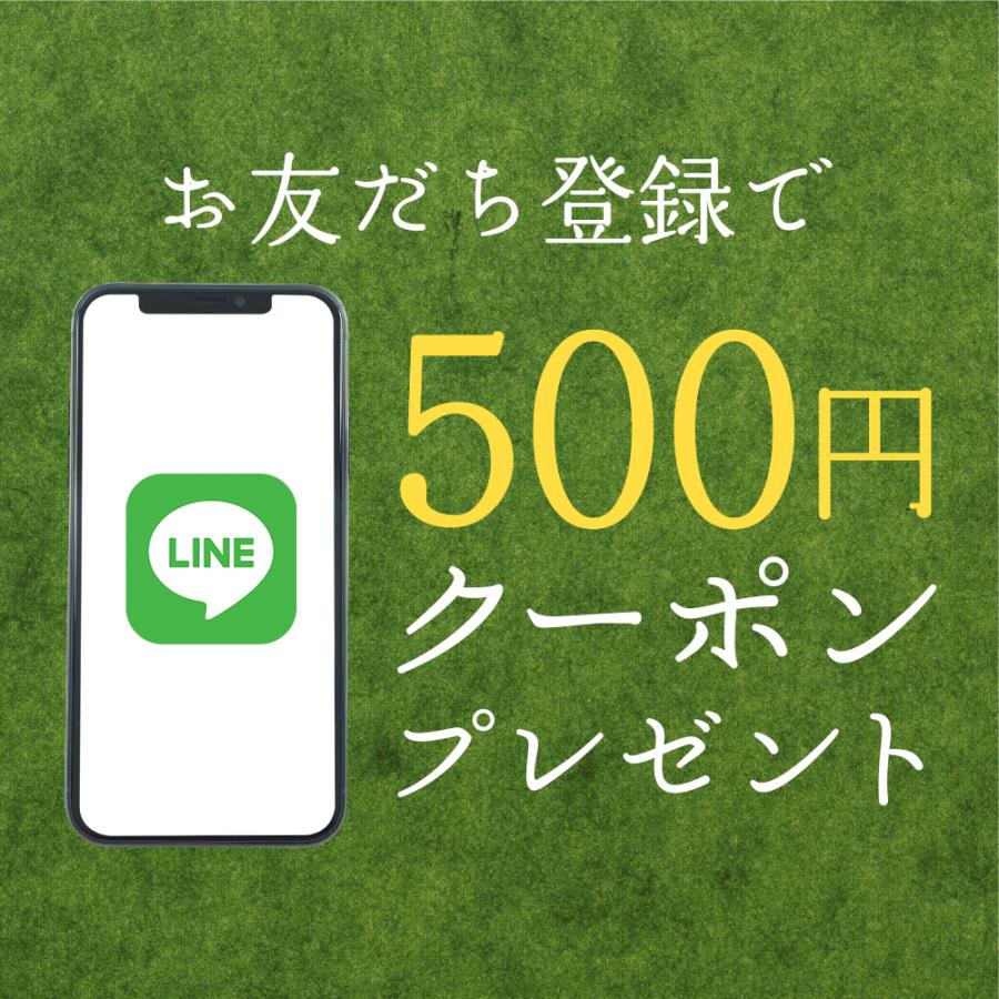 お歳暮 2023 干物セット ギフト 風雅のおさかな三昧 16枚入 4種類×4 干物 アジ サンマ カマス 金目鯛 調理済み 御歳暮