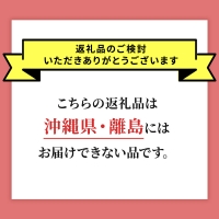 先行予約 北海道 仁木町産 さくらんぼ 約2kg 2Lサイズ 仁木ファーム 果実