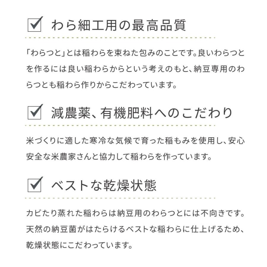 わらむ 笑つと納豆手作りキット 2本入 黄大豆 発酵食品 日本製 長野県産 お手軽 簡単 大豆