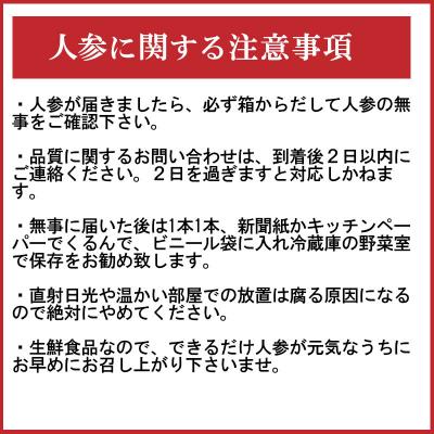 ふるさと納税 碧南市 訳あり!「マドンナキャロット」 3kg にんじん 野菜　H105-095