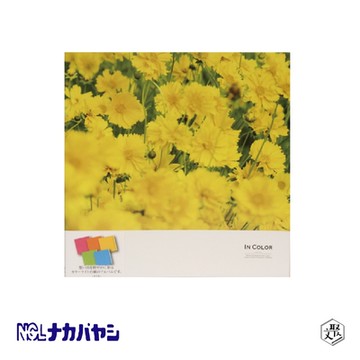 【Nakabayashi】NCL 手繪相本-黃花 L-DB211-Y(原廠正貨)