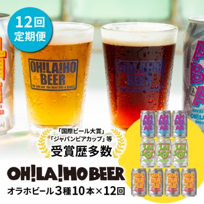 オラホビール3種飲み比べ10本セット