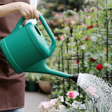 園藝澆花壺加厚澆花神器淋花澆菜家用長嘴灑水壺澆水壺大容量噴壺