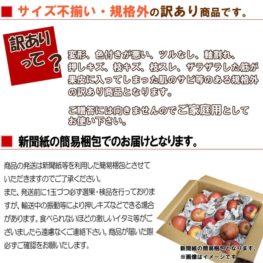 予約 送料無料 たっぷり 約8kg 山形県産 訳あり サンふじ りんご 簡易梱包 茶箱 りんご リンゴ 訳あり 家庭用 わけあり