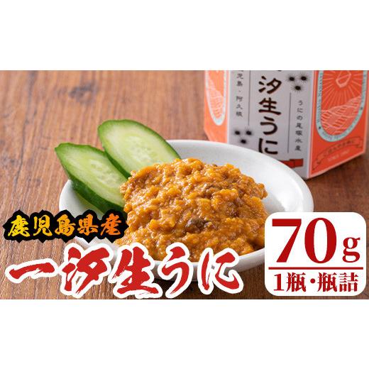 ふるさと納税 鹿児島県 阿久根市 一汐生うに(70g・1瓶)国産 雲丹 ウニ 魚介 海産物 海鮮丼 瓶詰 18-31