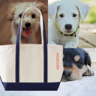 Pottery Barn ポッタリーバーン  キャリーバッグ キャンバス トートバッグ ペット 犬 いぬ 名入れ オリジナル イニシャル おしゃれ 日本未入荷 取り寄せ