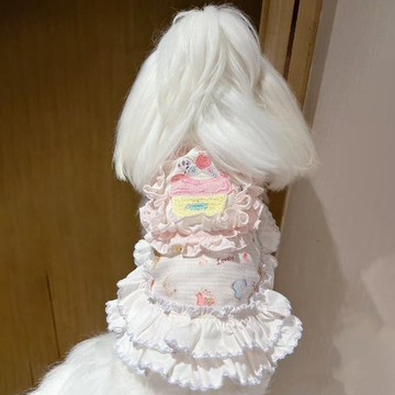 熱賣爆款寵物衣服重工公主風寵物狗狗夏季蕾絲裙子比熊約克夏舒適衣服0415 UVHT