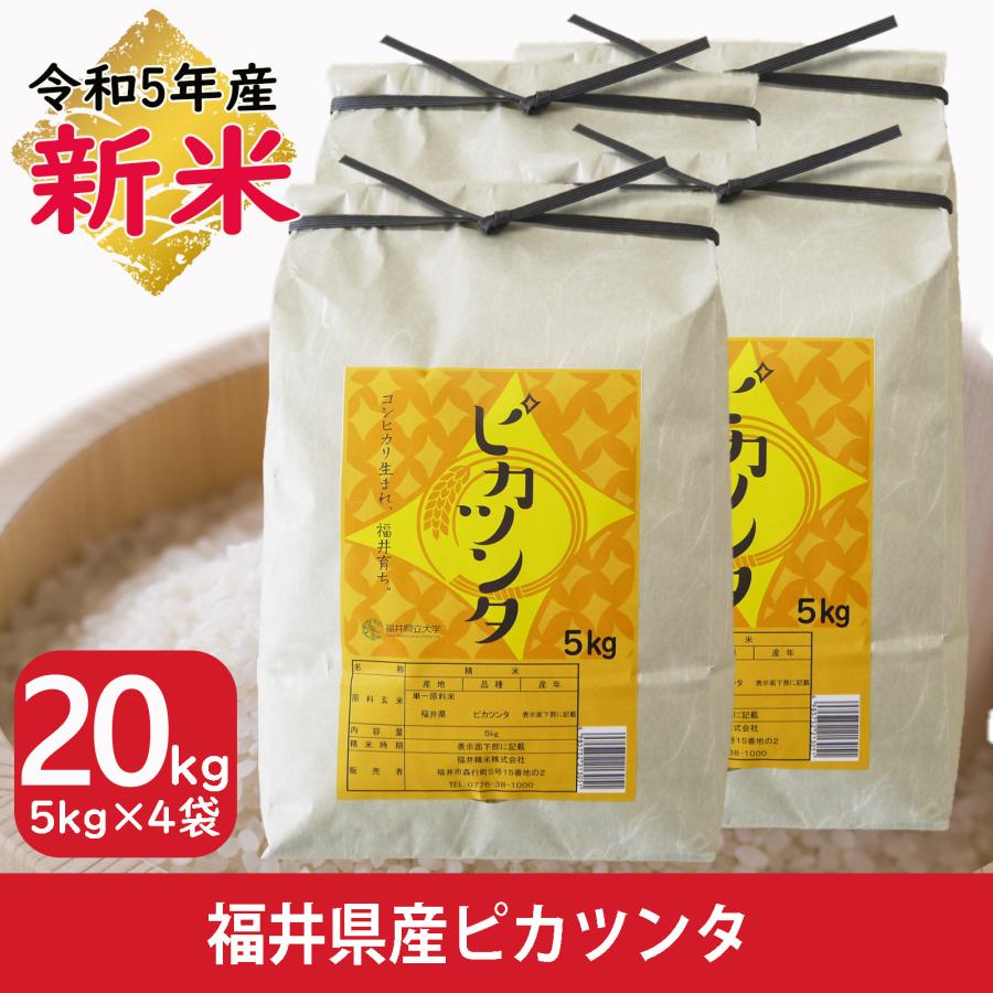 新米 米 20kg 5kg×4袋 ピカツンタ 福井県産 白米 令和5年産 送料無料