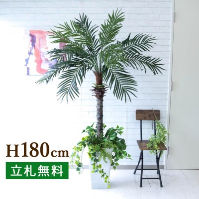 安い販促品 ☆北海道内限定☆ 人工観葉植物 中央フェニックス3.3m dvap