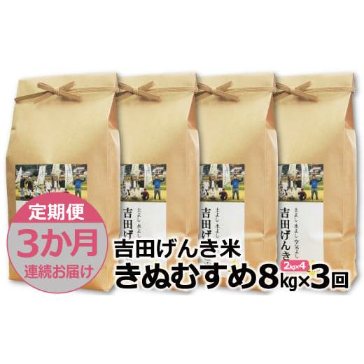 ふるさと納税 島根県 雲南市 「吉田げんき米」きぬむすめ8kg（2kg×4）【島根県産 雲南市産 ブランド米 米 お米 白米 コメ こめ お…