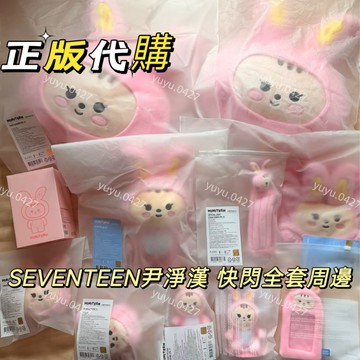 ✨官方正版🪄 SEVENTEEN mini10快閃 尹淨漢 快閃全套周邊 零錢包 卡套 小夜燈 拍拍燈 抱枕 站姿娃