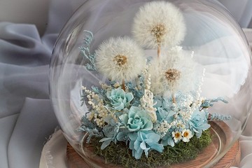 【客製化禮物】蒲公英 鐘罩 永生花鐘罩 鐘罩花 畢業禮物中秋節聖