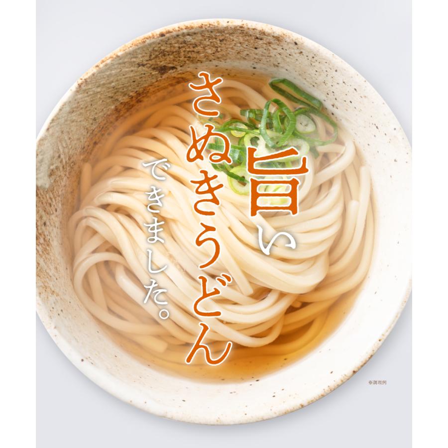 送料無料 半生うどん 9食 （300g×3）麺のみ 讃岐うどん ポイント利用 お試し ポイント消化 ご当地グルメ 食品 産直 おすすめ ポイント消費 食品 お取寄せ 香川