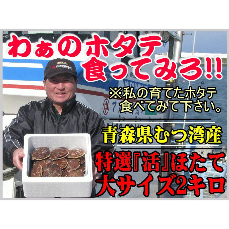 青森 ホタテ 殻付き 活ほたて 大サイズ2キロ 送料無料 青森 陸奥 貝柱が美味 ほたて 2kg（約8枚-12枚）お取り寄せ 海産