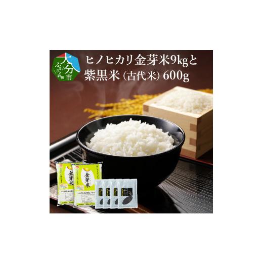 ふるさと納税 大分県 大分市 ヒノヒカリ金芽米9kgと紫黒米（古代米）600g