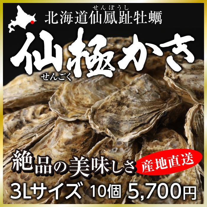 仙極かき　3L10個