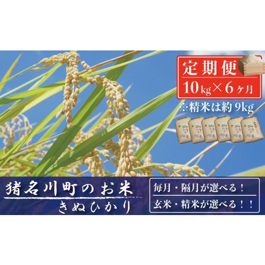 ふるさと納税 兵庫県 猪名川町 猪名川町のお米（キヌヒカリ） ※玄米※毎月配送