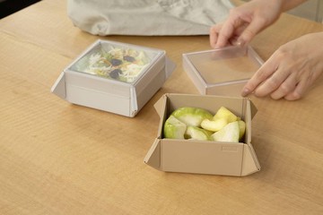 折折盒(含透視防塵蓋) 便當盒 保鮮盒 餐盒餐盤餐墊