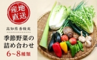 　高知県産　南国土佐の季節の野菜詰め合せセット