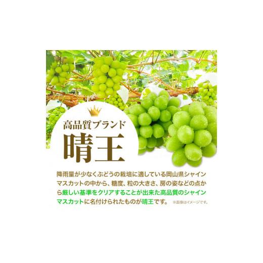 ふるさと納税 岡山県 浅口市 ぶどう 2ヶ月 定期便 [2024年先行予約] シャインマスカット 晴王 岡山県産 2房 約1kg《9月上旬-11月上旬頃出荷(土日祝除く)》 ハ…