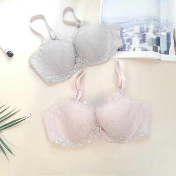 【C杯清倉】安莉芳旗下大胸顯小文胸HB0146/EB1703/HB00054