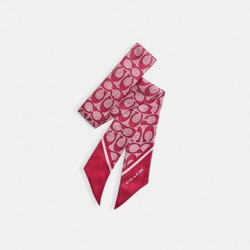 經典 SIGNATURE 復古印花真絲窄圍巾
