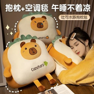 二合一水豚吐司學生抱枕被兩用辦公室午睡小毯子枕頭毛毯車用靠枕